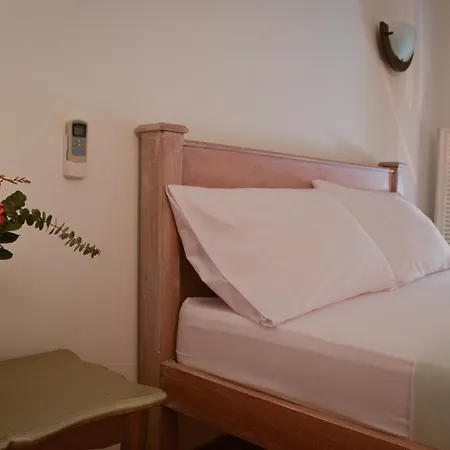 Casa De Santo Domingo Vidal Cartagena