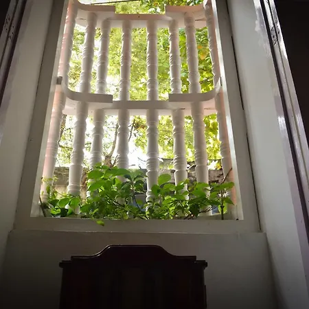 Casa De Santo Domingo Vidal *